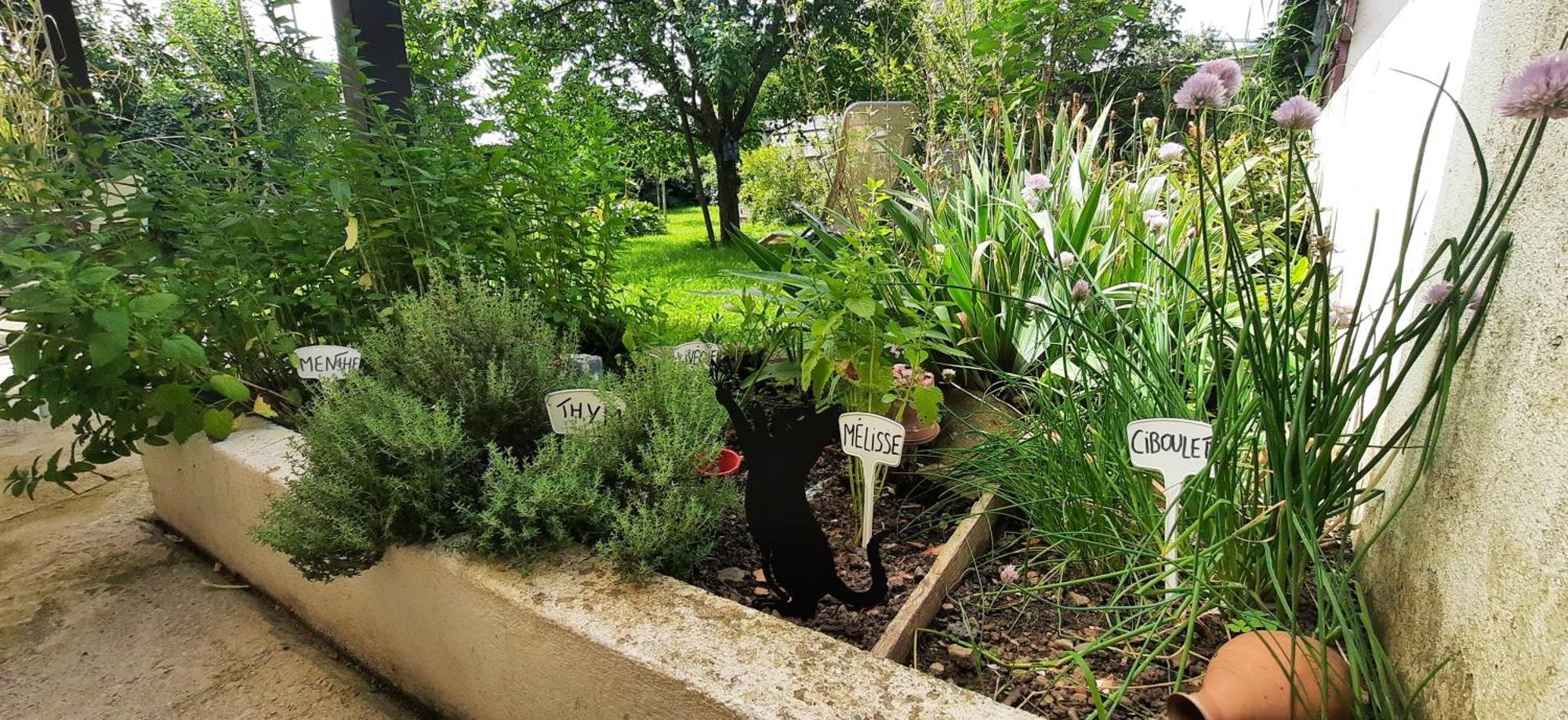 Gite Au Petit Verger Masevaux-Niederbruck Exteriör bild