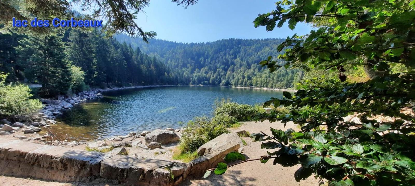 Gite Au Petit Verger Masevaux-Niederbruck Exteriör bild